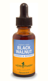 Black Walnut Liquid Extract (1 fl oz)